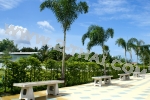 Pattaya Tropical 3