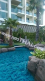20 พฤศจิกายน 2560 