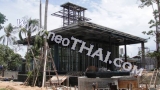 20 พฤศจิกายน 2560 