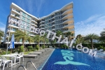 Whale Marina Condo Pattaya 3